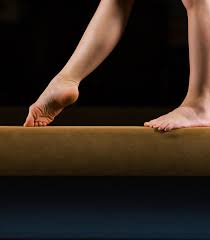 Image result for Zodiac Gymnastics Club