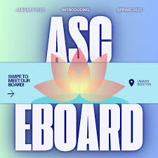 Image result for Boston Asc