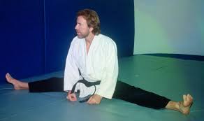 Image result for Walker's American Martial Arts