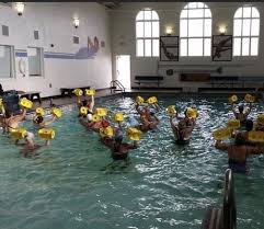 Image result for Aquatone Classes