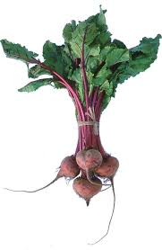 Image result for Beta vulgaris