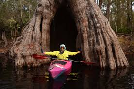 Image result for Blackwater Valley Canoe Club