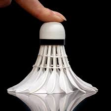 Image result for Lings Badminton Club