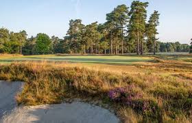 Image result for Hindhead Golf Club