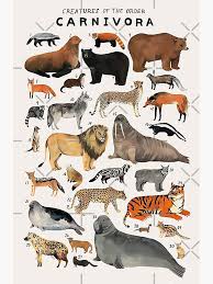 Attēlu rezultāti vaicājumam “Carnivora”