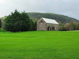 Image result for Llantrisant Tkd