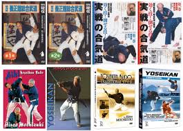 Image result for Yoseikan Budo England