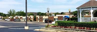 Image result for Palatine Veterans Club