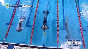 Image result for Swansea Finswimming Club