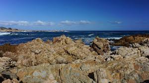 Image result for przyk adnica