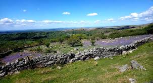 Image result for EXETER RAMBLING CLUB