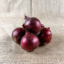 Image result for Zwiebeln