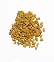 images?q=tbn:ANd9GcQjUwmLW7ahu7F72wEECG785gRR38yTfur1wpAdwhwAkYP4Wx5ozw