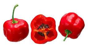 Afbeeldingsresultaat voor red rocoto hot pepper