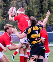 Image result for Chester Rugby Union Football Club