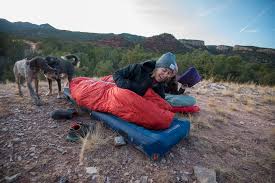 Image result for Goosenest Lofts