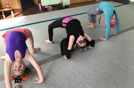Image result for Farnham Gymnastics Club