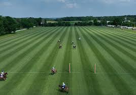 Image result for Woolmers Park Polo Club