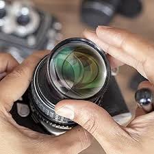 Attēlu rezultāti vaicājumam “Licea minima macro”