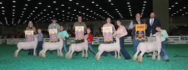 Image result for Southdown Divers