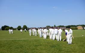 Image result for Luton Caribbean Cricket & Social Club