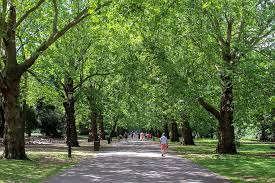 Image result for Battersea Park