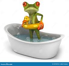 Image result for Bath Amphibians