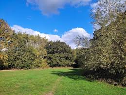 Image result for Roding Valley Cricket Club