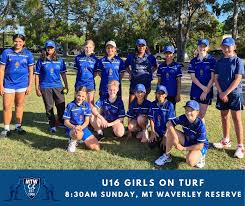 Image result for Waverley Cricket Club