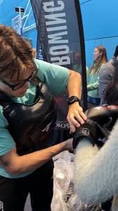 Image result for Cambridge Amateur Boxing Club