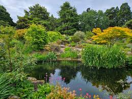 Image result for Genbukan Edinburgh