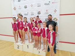 Image result for Weaverham Gymnastics Club