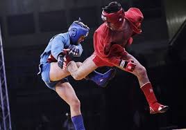Image result for Combat Sambo