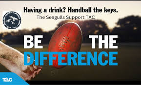 Image result for Camelot Netball Club