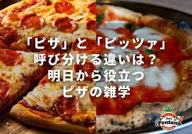 Image result for ピザ