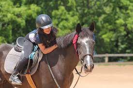 Image result for Woodhill Riding Club