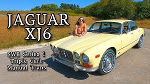 Image result for Platinum 1979 Jaguar