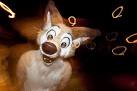 Creative Loafing Previews Furry Weekend Atlanta | Furry News Network