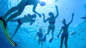 Image result for St. Albans Snorkelling Club (SASC)