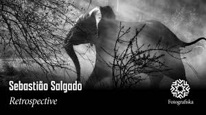 Image result for sebastiao salgado