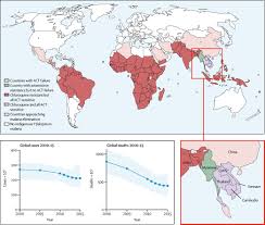 Attēlu rezultāti vaicājumam “Dianema depressum plasmodium”