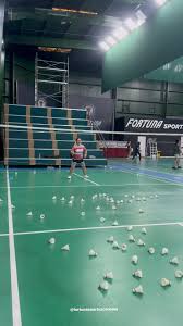 Image result for Transport Badminton Club