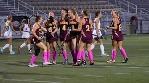 Image result for York University Hockey Club