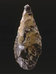 Image result for feuille-laurier-silex