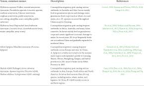 Attēlu rezultāti vaicājumam “Hadula trifolii”
