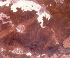 Attēlu rezultāti vaicājumam “Craterium aureum stalked”