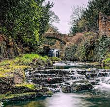 Image result for Newcastle Riverkings