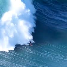 Image result for The British Kneeboard Surfing Club