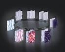 The Cyclic Model  Multidimenstional Membranes    Where do these