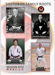 Image result for Jin Sei Kai Shotokan Karate